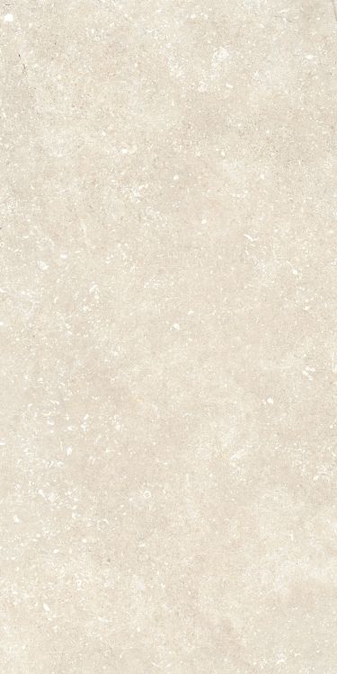 Untamed Wander Warm 12 x 24